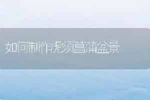 怎样种养姜荷花?