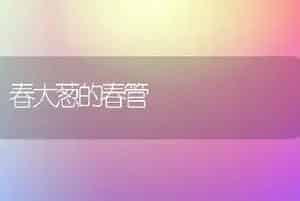 春大葱的春管