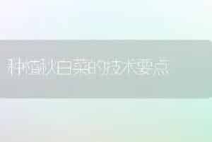 种植秋白菜的技术要点