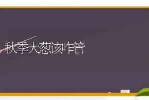 秋季大葱该咋管