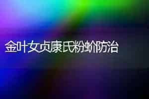 金叶女贞康氏粉蚧防治