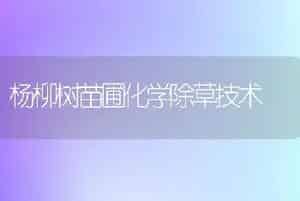 杨柳树苗圃化学除草技术