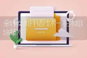 脐橙壮果丰产技术