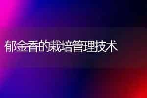 郁金香的栽培管理技术