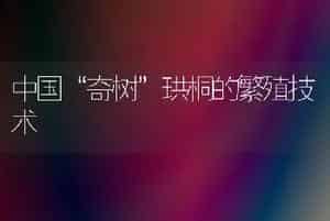 中国“奇树”珙桐的繁殖技术