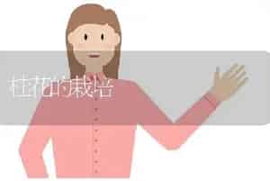 桂花的栽培