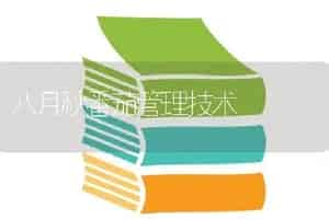 八月秋番茄管理技术