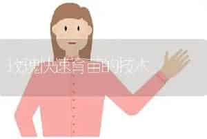 玫瑰快速育苗的技术