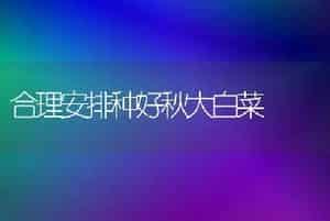 合理安排种好秋大白菜
