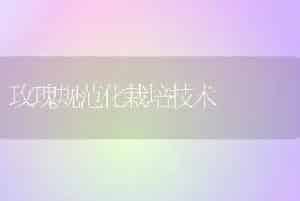 玫瑰规范化栽培技术