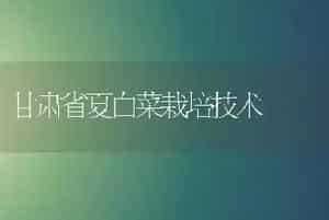 甘肃省夏白菜栽培技术
