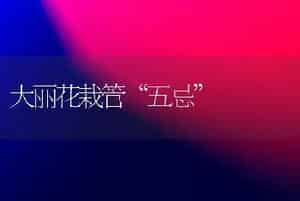 大丽花栽管“五忌”