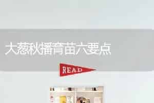 大葱秋播育苗六要点