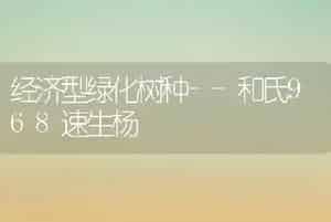 秋季大白菜高产栽培技术