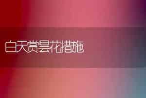 白天赏昙花措施