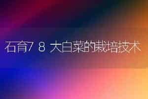 石育78大白菜的栽培技术