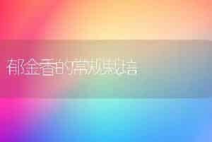 郁金香的常规栽培