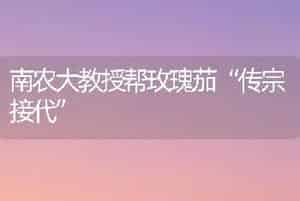 南农大教授帮玫瑰茄“传宗接代”