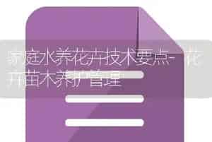 桂花不开花怎么办