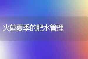 南京农业大学专家研发出10个新品种青菜