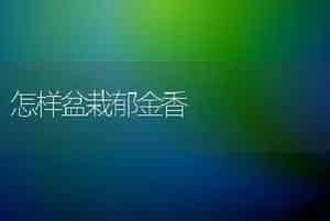 怎样盆栽郁金香