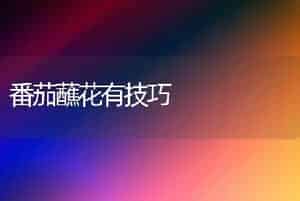 番茄蘸花有技巧