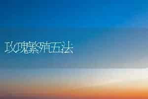 玫瑰繁殖五法