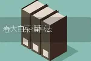 春大白菜播种法