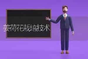 姜荷花栽培技术