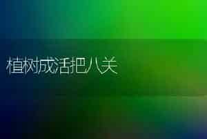 温室番茄如何整枝