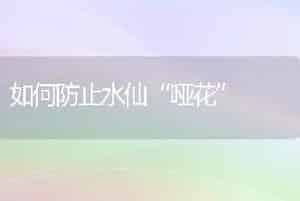 秋延迟番茄整枝技术