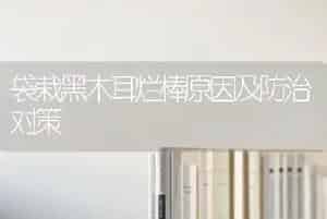 袋栽黑木耳烂棒原因及防治对策