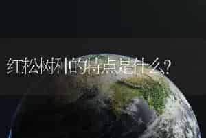 桂花无土盆栽技术要点