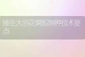 矮生大丽花常规制种技术要点