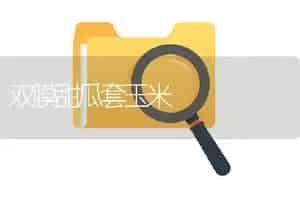 双膜甜瓜套玉米