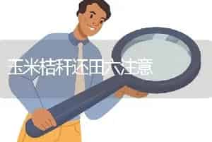 玉米桔秆还田六注意