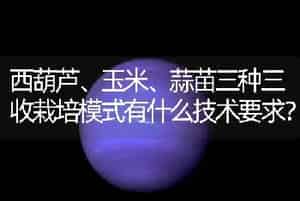 西葫芦、玉米、蒜苗三种三收栽培模式有什么技术要求？