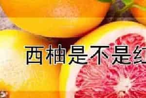 西柚是不是红柚