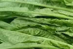 莴苣空心怎么办？防治措施怎么做
