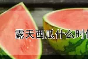 露天西瓜什么时候种