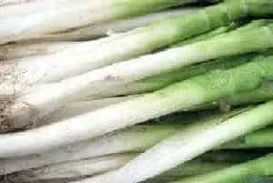 大葱葱白短的解决方法