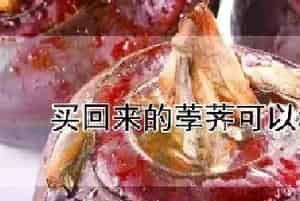 买回来的荸荠可以种吗