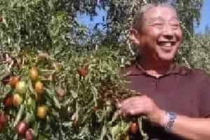 若羌县荣膺“中国果菜无公害十强县”