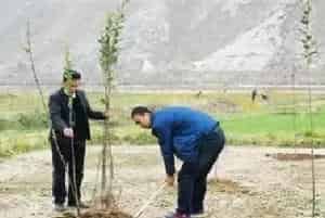 果树不同季节栽培注意事项