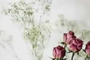 干花的选择及保养