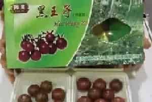 保健型果蔬－－－“黑王子”番茄