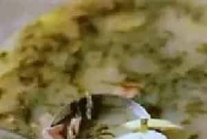 冬季一碗热气腾腾的咸菜年糕