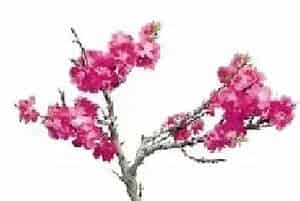 碧桃盆景的制作与养护