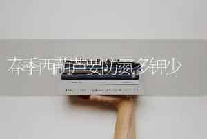 春季西葫芦要防氮多钾少