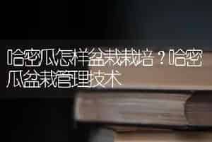 哈密瓜怎样盆栽栽培？哈密瓜盆栽管理技术